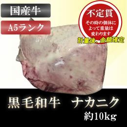 【不定貫】ナカニク 約10kg  黒毛和牛 A5ランク 5等級  ブロック 業務用 牛モモ肉