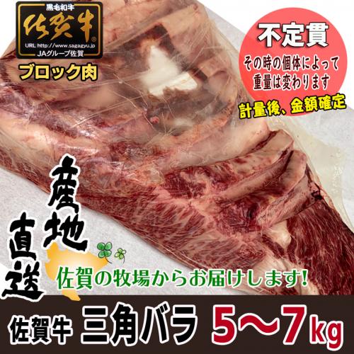 【不定貫】牛肉 国産 佐賀牛 三角バラ ブロック 約5〜7kg 特上カルビ A4以上 産地直送