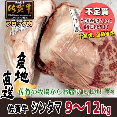 【不定貫】牛肉 国産 佐賀牛 シンタマ ブロック 約9〜12kg A4以上 産地直送